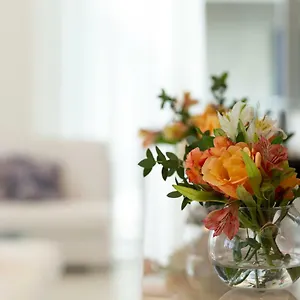 https://hotel-merano-rimini.riccione-hotels.org